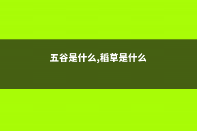 五谷是什么，稻黍稷麦豆分别指什么 (五谷是什么,稻草是什么)