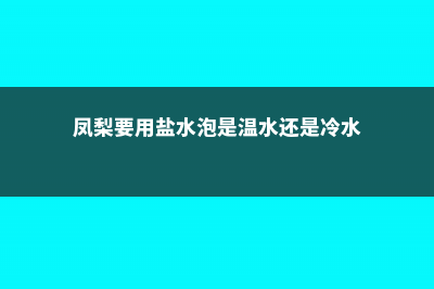 凤梨要用盐水泡吗，菠萝用盐水泡的原因 (凤梨要用盐水泡是温水还是冷水)