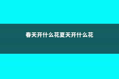 春天开什么花 (春天开什么花夏天开什么花)