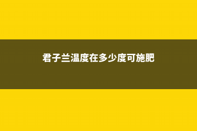 君子兰温度在多少度合适，还有什么养护要求 (君子兰温度在多少度可施肥)