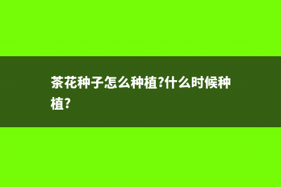 茶花种子怎么种植方法 (茶花种子怎么种植?什么时候种植?)