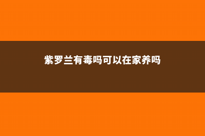 紫罗兰有毒吗，适合在室内养吗 (紫罗兰有毒吗可以在家养吗)