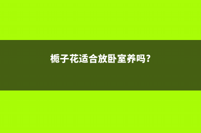 栀子花适合在卧室养吗 (栀子花适合放卧室养吗?)