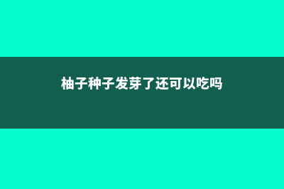 柚子种子发芽的条件和种植要求 (柚子种子发芽了还可以吃吗)