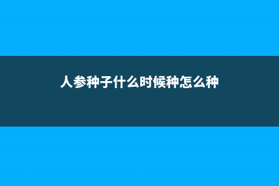 人参种子什么时候种 (人参种子什么时候种怎么种)