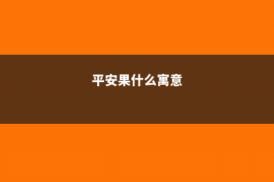 平安果有什么寓意 (平安果什么寓意)