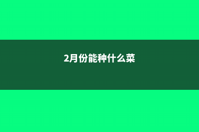 二月份种什么菜 (2月份能种什么菜)