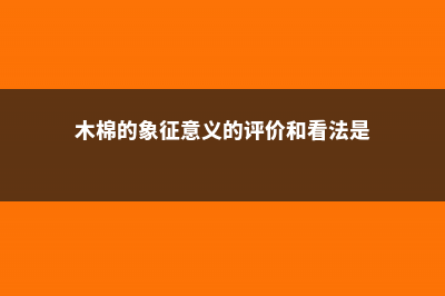 木棉的象征意义和品格是什么 (木棉的象征意义的评价和看法是)