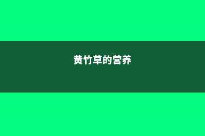 黄竹草用途，如何育苗 (黄竹草的营养)