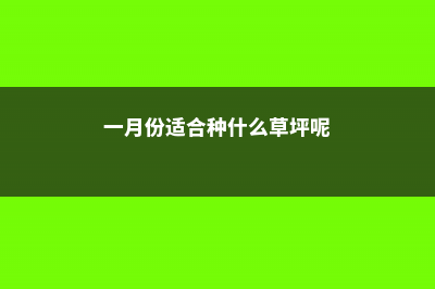 一月份适合种什么菜 (一月份适合种什么草坪呢)