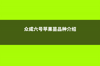 苹果苗品种介绍（红肉苹果苗、红心苹果苗） (众成六号苹果苗品种介绍)