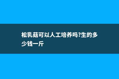 松乳菇可以人工栽培吗（种植技术和产量） (松乳菇可以人工培养吗?生的多少钱一斤)