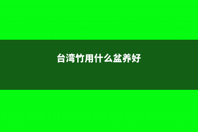 盆栽台湾竹的养殖方法，黄叶怎么办 (台湾竹用什么盆养好)