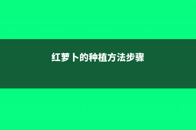 红萝卜的种植方法和时间 (红萝卜的种植方法步骤)