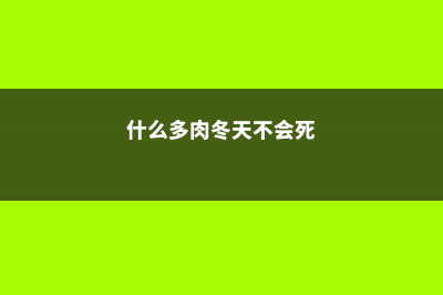 冬季哪些多肉怕冷，如何安全越冬 (什么多肉冬天不会死)