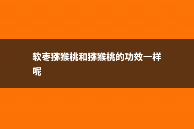 软枣猕猴桃和猕猴桃的区别，是野生的吗 (软枣猕猴桃和猕猴桃的功效一样呢)