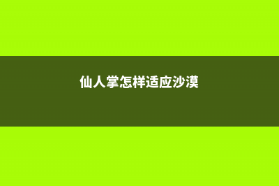 仙人掌怎样适应沙漠干旱的环境 (仙人掌怎样适应沙漠)