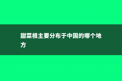 甜菜根在中国叫什么 (甜菜根主要分布于中国的哪个地方)