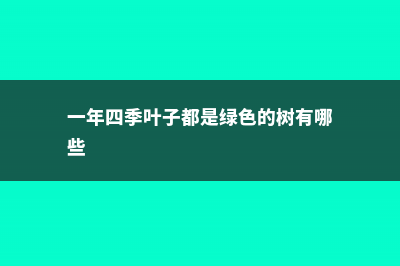 一年四季叶子都是绿色的是什么 (一年四季叶子都是绿色的树有哪些)