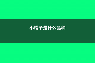 小橘子叫啥 (小橘子是什么品种)