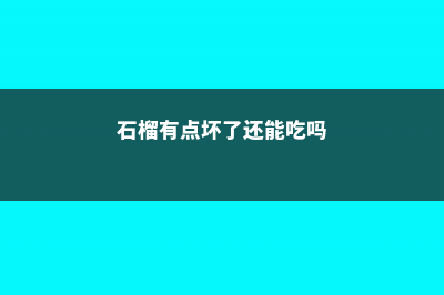 石榴坏了是什么样子 (石榴有点坏了还能吃吗)