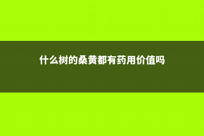 什么树上有桑黄 (什么树的桑黄都有药用价值吗)