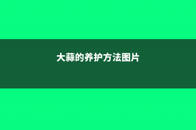 大蒜的养殖方法和注意事项大全 (大蒜的养护方法图片)