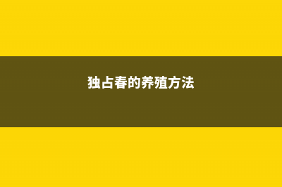 独占春的养殖方法和注意事项大全 (独占春的养殖方法)