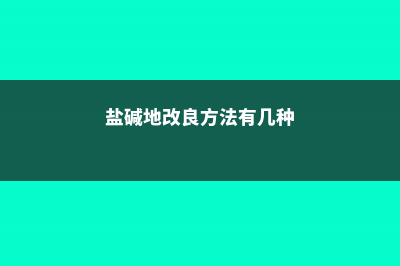 盐碱地改良方法 (盐碱地改良方法有几种)