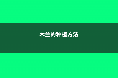 木兰的养殖方法和注意事项大全 (木兰的种植方法)