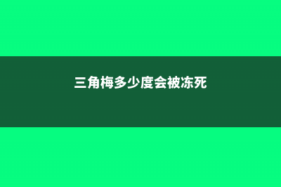 三角梅几度会被冻死 (三角梅多少度会被冻死)