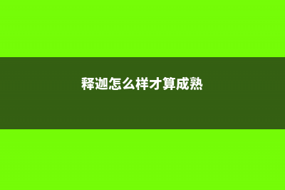 释迦什么样是熟了 (释迦怎么样才算成熟)