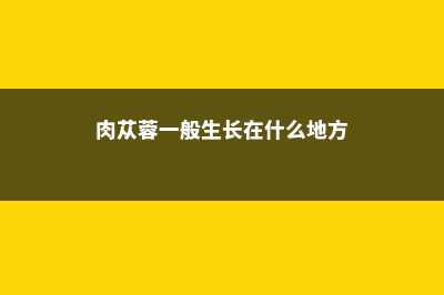 肉苁蓉生长在什么地方 (肉苁蓉一般生长在什么地方)