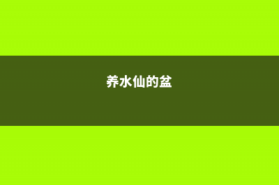 北方盆栽水仙不开花的原因 (养水仙的盆)