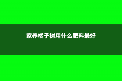 家养桔子树施什么肥料 (家养橘子树用什么肥料最好)