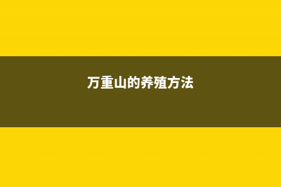 万重山的养殖方法和注意事项 (万重山的养殖方法)