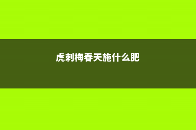 虎刺梅春天换土好吗 (虎刺梅春天施什么肥)