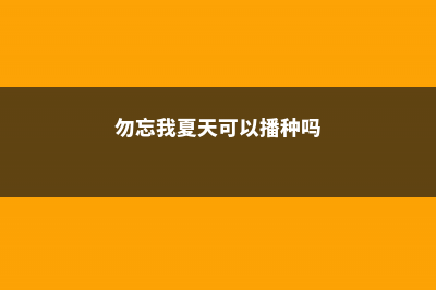 勿忘我春天可以种吗 (勿忘我夏天可以播种吗)