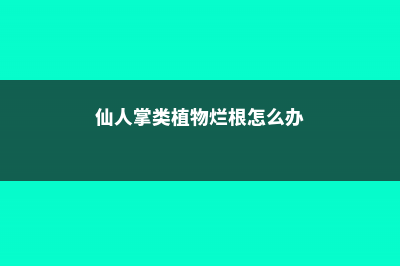 仙人掌烂根是什么原因 (仙人掌类植物烂根怎么办)