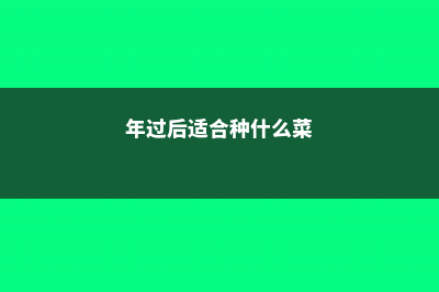 年后就种“2种”花，花苞拳头大，春天开花开满枝 (年过后适合种什么菜)