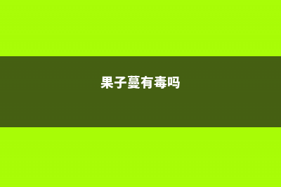 果子蔓的养殖方法和注意事项 (果子蔓有毒吗)