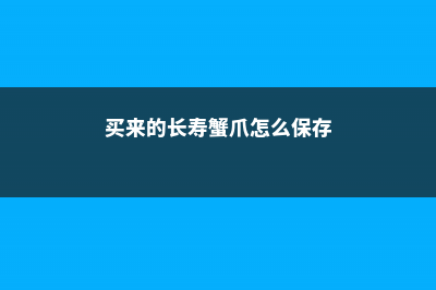 买来的长寿蟹爪兰···千万别放这儿，小心掉苞不开花！ (买来的长寿蟹爪怎么保存)