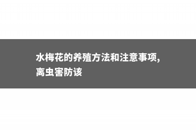 水梅的养殖方法和注意事项 (水梅花的养殖方法和注意事项,离虫害防该)