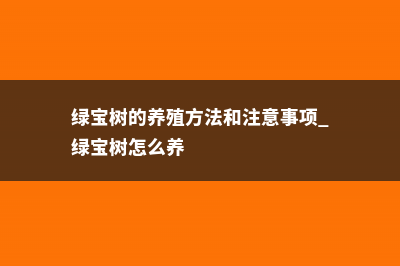 绿宝树的养殖方法和注意事项大全 (绿宝树的养殖方法和注意事项 绿宝树怎么养)