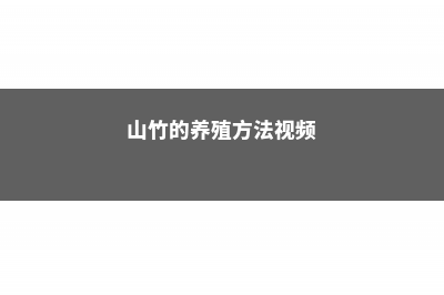 山竹的养殖方法和注意事项大全 (山竹的养殖方法视频)