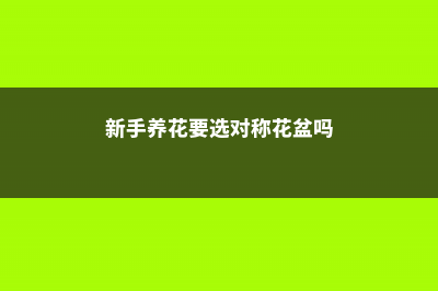 新手养花要选对，这“3种”别碰，能养活一盆都很厉害！ (新手养花要选对称花盆吗)