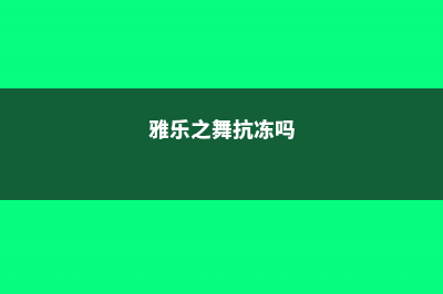 雅乐之舞最低温度多少，怎么安全过冬 (雅乐之舞抗冻吗)