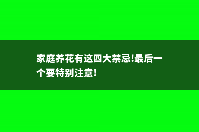 家里养花要注意，这“4个”地方要避开，养啥叶子都枯黄 (家庭养花有这四大禁忌!最后一个要特别注意!)