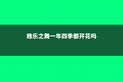 雅乐之舞开花吗，开花之后会死吗 (雅乐之舞一年四季都开花吗)