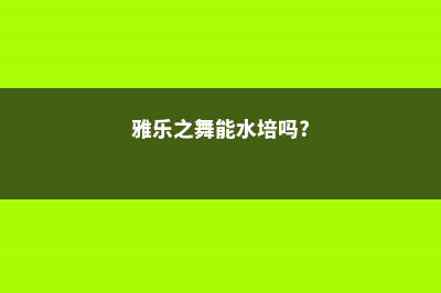 雅乐之舞能水长吗，能养多久 (雅乐之舞能水培吗?)